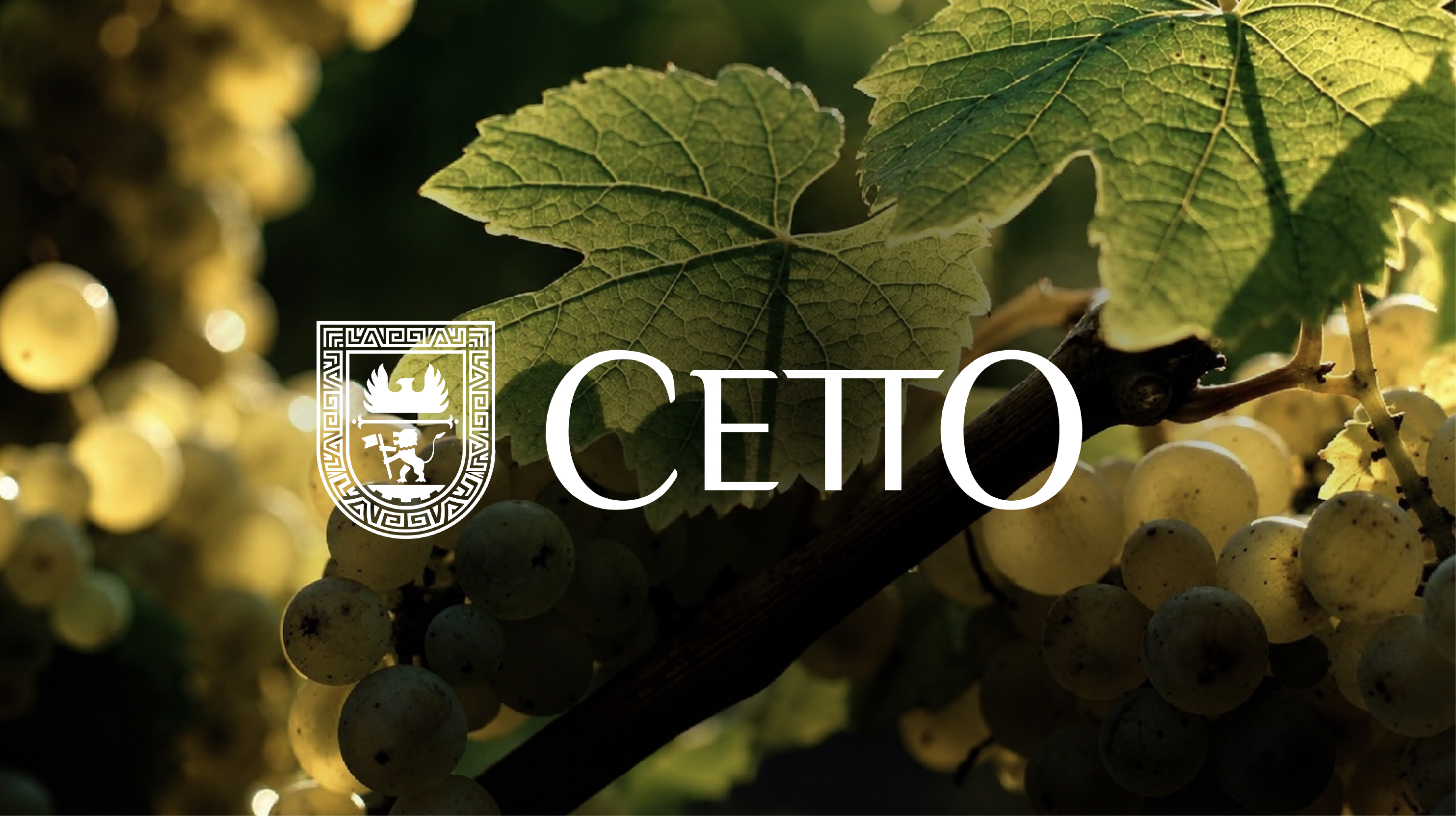 L.A. Cetto